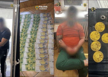 Percheziții și mandate europene de arestare după un jaf în Austria. Droguri, arme și zeci de mii de euro descoperite la Satu Mare – VIDEO