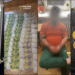 Percheziții și mandate europene de arestare după un jaf în Austria. Droguri, arme și zeci de mii de euro descoperite la Satu Mare – VIDEO