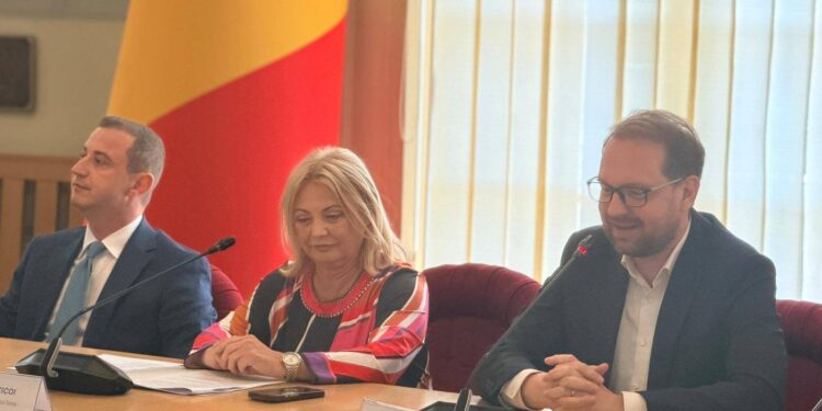 Percheziții la locuința prefectului de Timiș, Cornelia Elena Micicoi, într-o anchetă a Parchetului European. Ce verifică procurorii