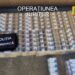 Operațiunea Jupiter în Bihor: peste 160.000 de țigarete de contrabandă și zeci de mii de euro, descoperite la percheziții