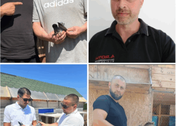 Protagoniștii etapei de demifond Bratislava – columbofilii bihoreni și porumbeii care au învins canicula și vântul din față într-o cursă de anduranță memorabilă.