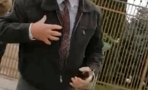 Vlad Gheorghe vecinul reclamangiu