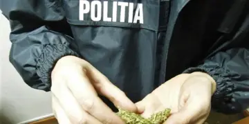 „Noi nu consumăm la nivelul conducerii”: cifra cadrelor MAI cercetate în dosare de trafic, deținere sau consum de droguri