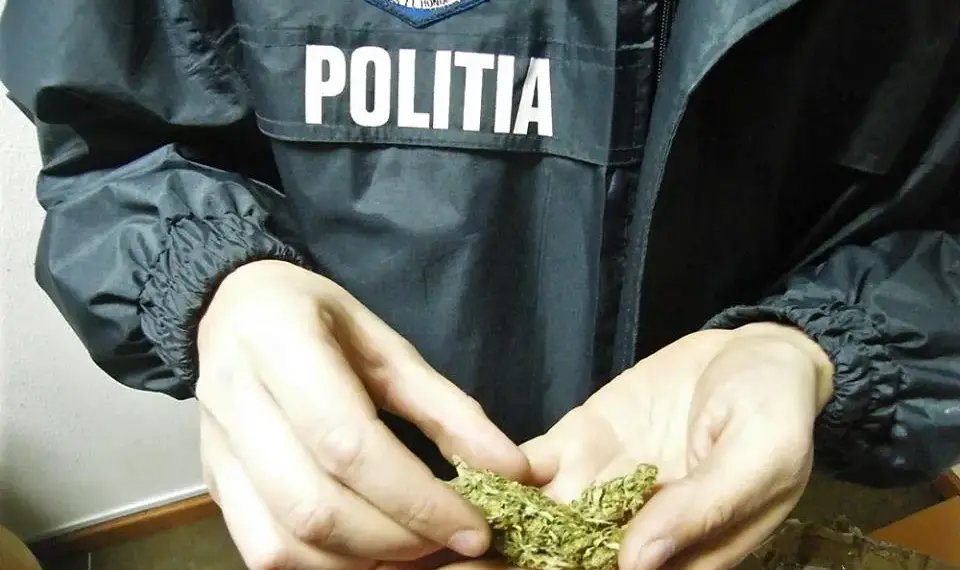 „Noi nu consumăm la nivelul conducerii”: cifra cadrelor MAI cercetate în dosare de trafic, deținere sau consum de droguri