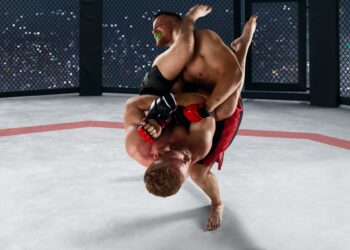 Au încasat bani de la peste 30.000 de abonați fără să-i declare. Fraudă de milioane în domeniul luptelor MMA