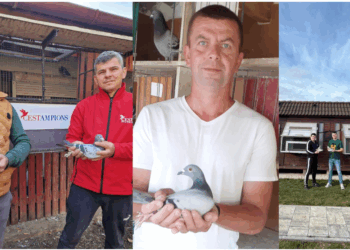 Protagoniștii etapei Maraton Extrem Nordhausen 2026 – pasiune, performanță și excelență columbofilă în Zona de Vest