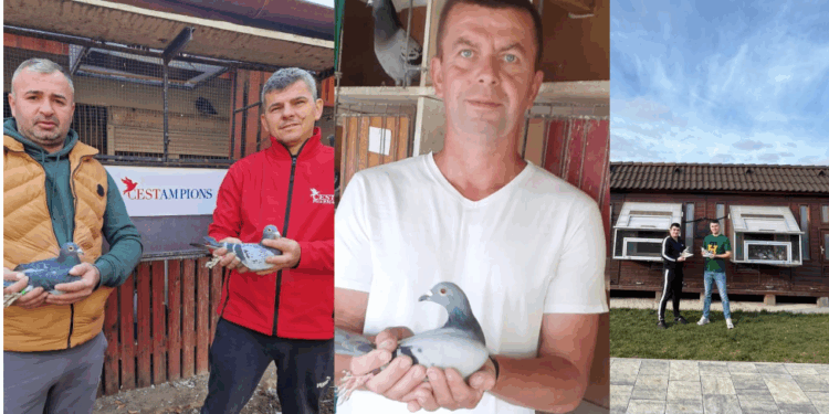 Protagoniștii etapei Maraton Extrem Nordhausen 2026 – pasiune, performanță și excelență columbofilă în Zona de Vest