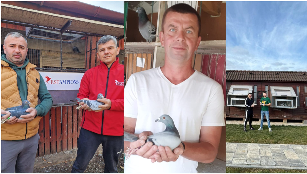 Protagoniștii etapei Maraton Extrem Nordhausen 2026 – pasiune, performanță și excelență columbofilă în Zona de Vest