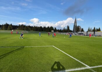 Pentru FC Bihor urmează testul cu „virușii verzi”