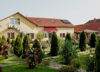Azilele de la Dumbrava în oglinda actelor statului: DSP a găsit locuințe salubre, iar Ministerul Muncii a consemnat că oamenii nu voiau să plece
