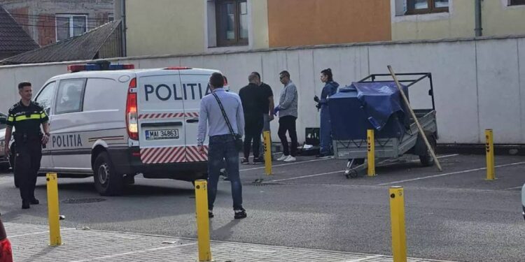 Două condamnări la detențiune pe viață și una de 30 de ani, în dosarul femeii ucise și transportate într-un geamantan la Oradea